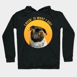 Lovin' Is What I Got - cool dog Hoodie